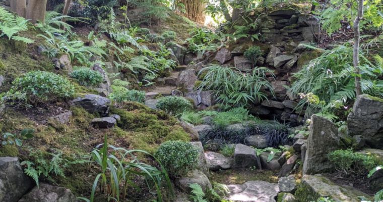 Conversation autour des jardins japonais